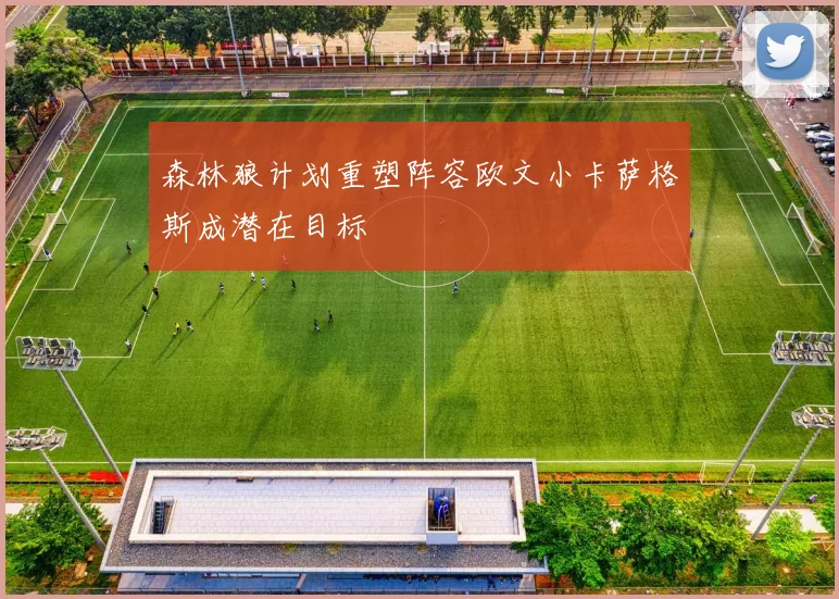 森林狼计划重塑阵容欧文小卡萨格斯成潜在目标