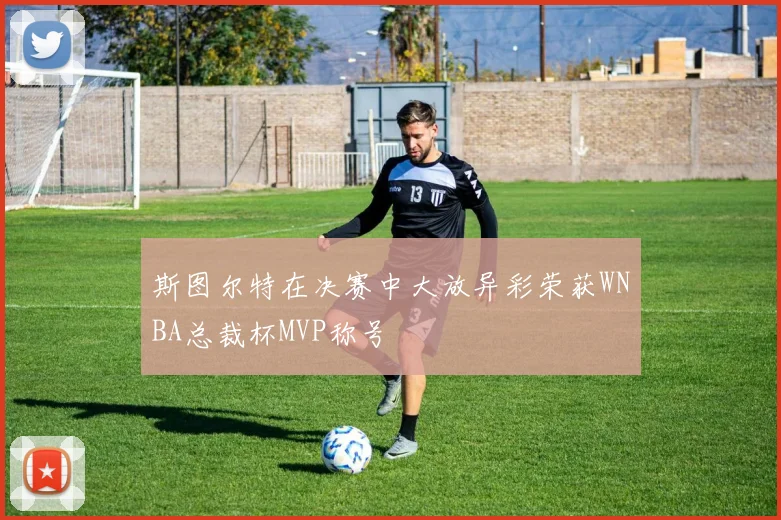 斯图尔特在决赛中大放异彩荣获WNBA总裁杯MVP称号